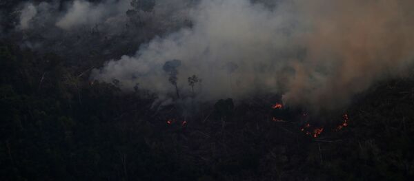 Incendios en la Amazonía - Sputnik Mundo