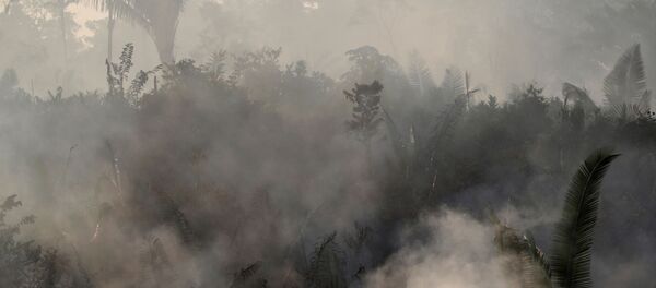 Incendios en Amazonía - Sputnik Mundo