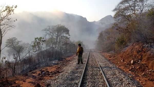 Incendios forestales en Bolivia - Sputnik Mundo