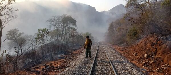 Incendios forestales en Bolivia - Sputnik Mundo