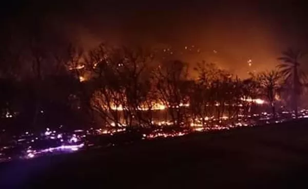 Un brote de incendio en la selva amazónica Un brote de incendio en la selva amazónica - Sputnik Mundo