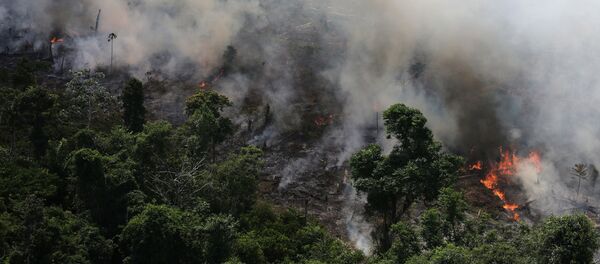Incendio forestal (Archivo) - Sputnik Mundo