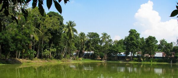 La isla fluvial Majuli, en India - Sputnik Mundo