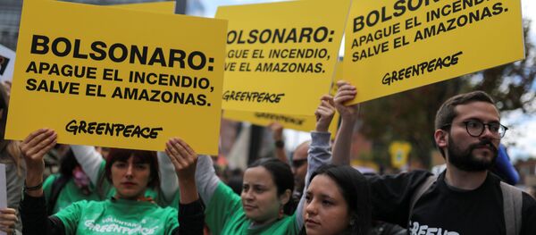 Manifestación en Bogotá contra la política ambiental del presidente de Brasil - Sputnik Mundo