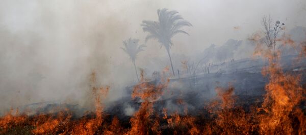 Incendios forestales en la Amazonía brasileña (archivo) - Sputnik Mundo