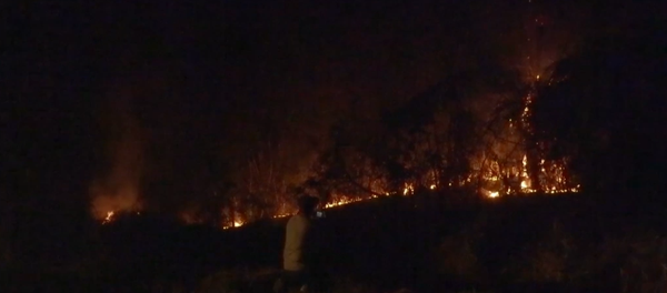 Los incendios forestales afectan a la Amazonía peruana - Sputnik Mundo