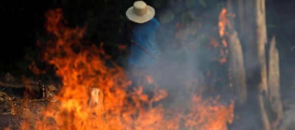 Incendios en la Amazonía - Sputnik Mundo