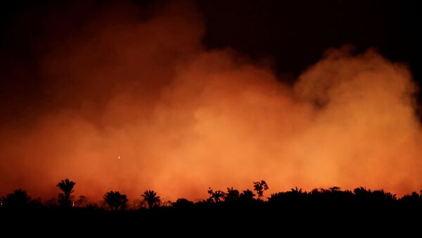 Incendios forestales en Brasil Incendios forestales en Brasil - Sputnik Mundo