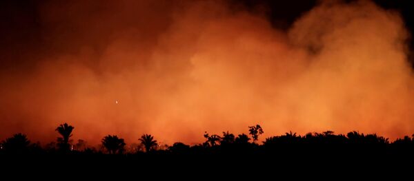 Incendios forestales en Brasil Incendios forestales en Brasil - Sputnik Mundo