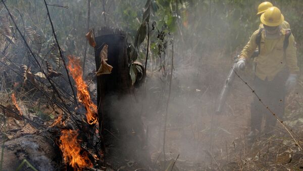 Incendios en la Amazonía - Sputnik Mundo