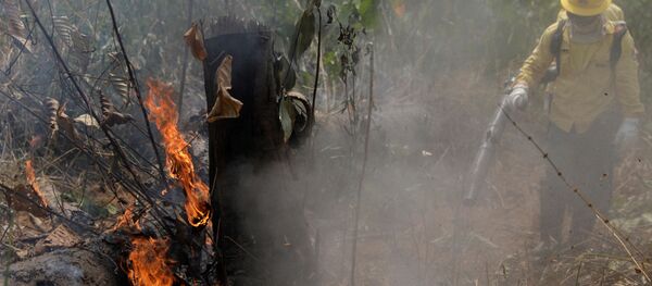 Incendios en la Amazonía - Sputnik Mundo
