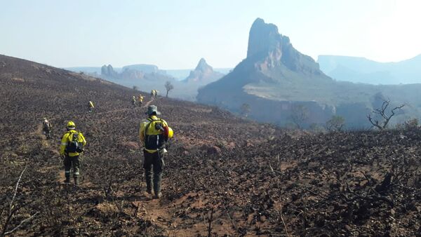 Bomberos en los bosques de Bolivia - Sputnik Mundo