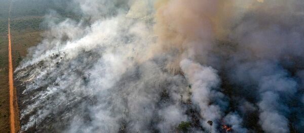 Incendios en la Amazonía  - Sputnik Mundo