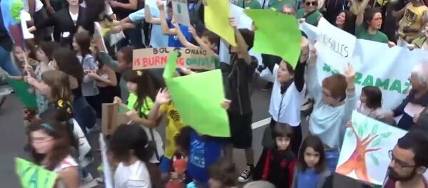 Manifestantes marchan contra la política ambiental de Bolsonaro en Río de Janeiro - Sputnik Mundo