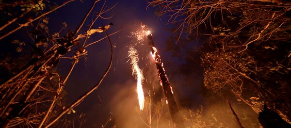 Incendios en la Amazonía - Sputnik Mundo