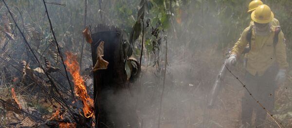 Bomberos apagando un incendio en la Amazonía brasileña - Sputnik Mundo