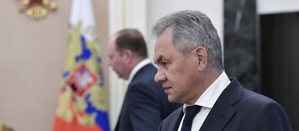 el ministro de Defensa ruso, Serguéi Shoigú - Sputnik Mundo