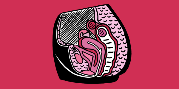 Los misterios de la vagina descifrados en una revolucionaria enciclopedia - Sputnik Mundo