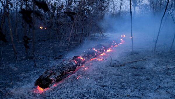 Incendios en la Amazonía - Sputnik Mundo