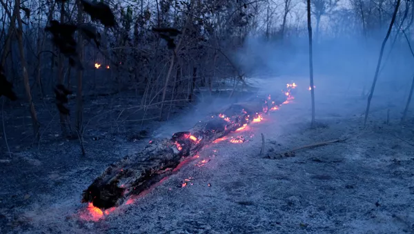 Incendios en la Amazonía