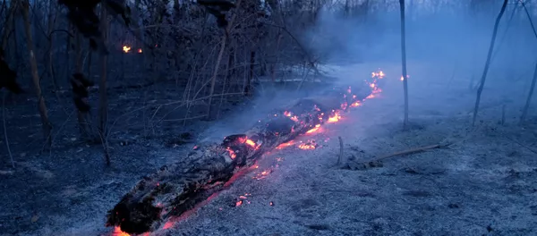 Incendios en la Amazonía Incendios en la Amazonía - Sputnik Mundo