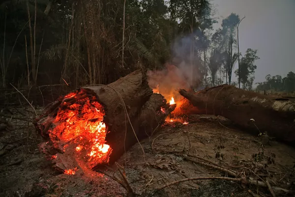 Tierra cubierta de cenizas: los incendios forestales en la Amazonía Tierra cubierta de cenizas: los incendios forestales en la Amazonía - Sputnik Mundo