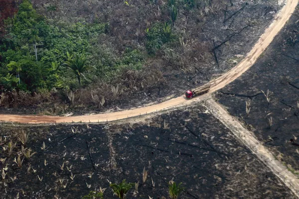 Tierra cubierta de cenizas: los incendios forestales en la Amazonía Tierra cubierta de cenizas: los incendios forestales en la Amazonía - Sputnik Mundo