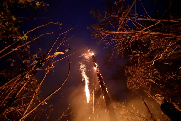 Tierra cubierta de cenizas: los incendios forestales en la Amazonía Tierra cubierta de cenizas: los incendios forestales en la Amazonía - Sputnik Mundo