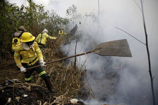 Tierra cubierta de cenizas: los incendios forestales en la Amazonía - Sputnik Mundo