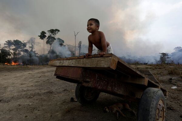 Tierra cubierta de cenizas: los incendios forestales en la Amazonía - Sputnik Mundo