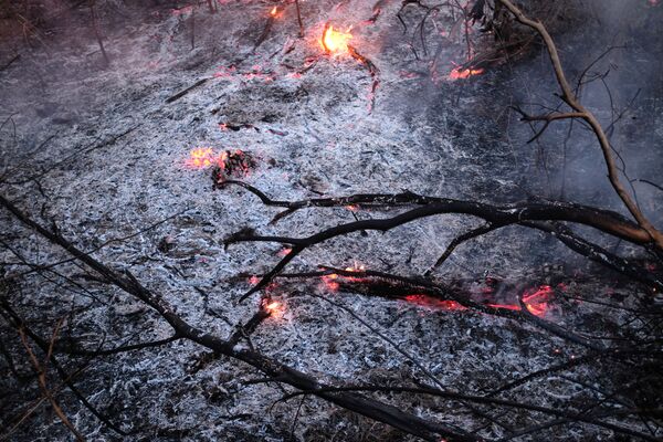 Tierra cubierta de cenizas: los incendios forestales en la Amazonía - Sputnik Mundo