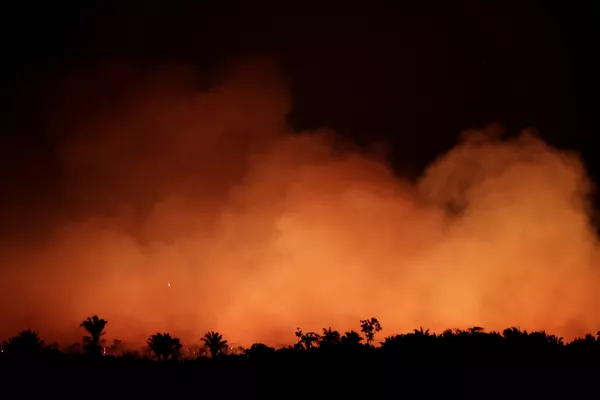 Tierra cubierta de cenizas: los incendios forestales en la Amazonía Tierra cubierta de cenizas: los incendios forestales en la Amazonía - Sputnik Mundo