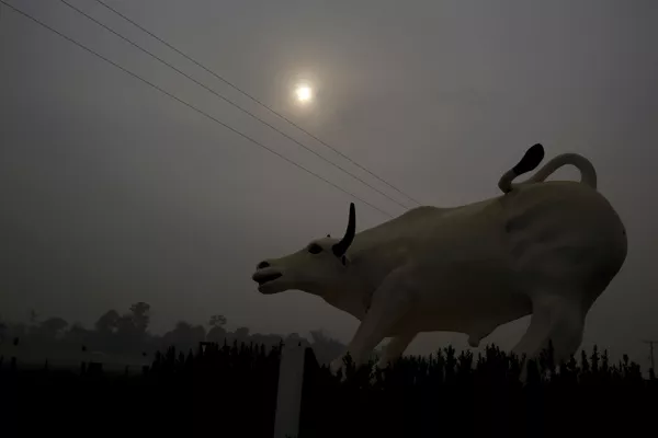 Tierra cubierta de cenizas: los incendios forestales en la Amazonía Tierra cubierta de cenizas: los incendios forestales en la Amazonía - Sputnik Mundo