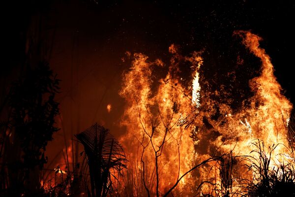 Tierra cubierta de cenizas: los incendios forestales en la Amazonía - Sputnik Mundo