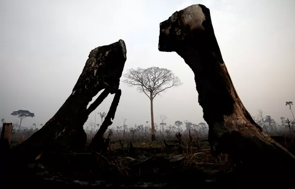 Tierra cubierta de cenizas: los incendios forestales en la Amazonía Tierra cubierta de cenizas: los incendios forestales en la Amazonía - Sputnik Mundo