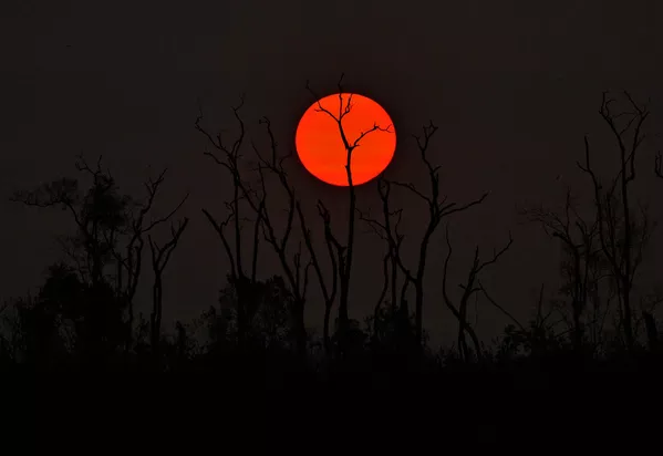 Tierra cubierta de cenizas: los incendios forestales en la Amazonía Tierra cubierta de cenizas: los incendios forestales en la Amazonía - Sputnik Mundo
