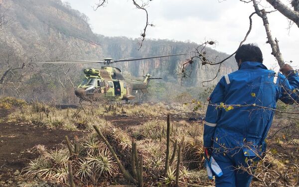 Presidente de Bolivia, Evo Morales, ayuda a combatir los incendios - Sputnik Mundo