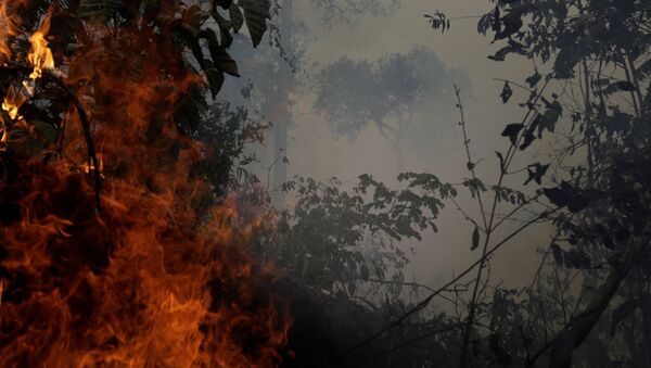 Incendios en la Amazonía - Sputnik Mundo