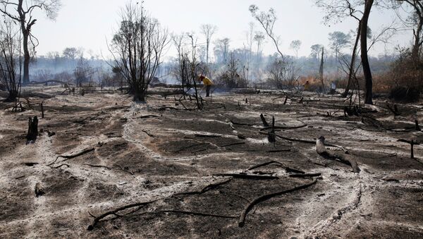 Incendios forestales en Bolivia - Sputnik Mundo