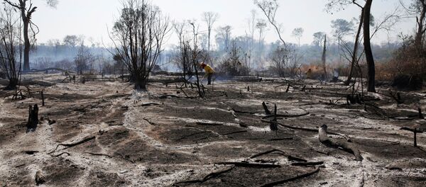 Incendios forestales en Bolivia Incendios forestales en Bolivia - Sputnik Mundo