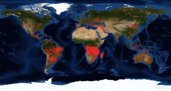 Un continente en llamas: África arde aún más que la Amazonía - Sputnik Mundo
