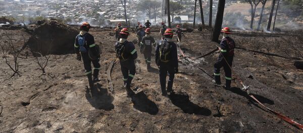 Extinción de incendios forestales en Sudáfrica (archivo) - Sputnik Mundo