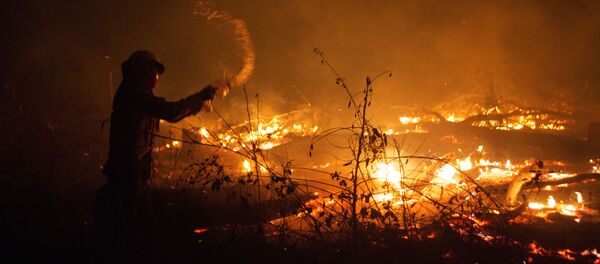 Incendios forestales en Bolivia Incendios forestales en Bolivia - Sputnik Mundo