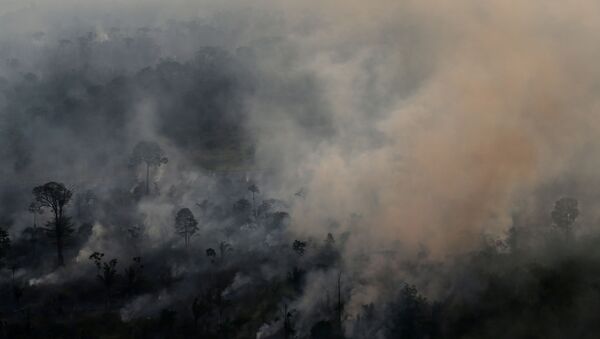 Incendios forestales en la Amazonía brasileña - Sputnik Mundo