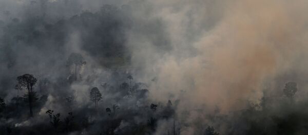 Incendios forestales en la Amazonía brasileña - Sputnik Mundo