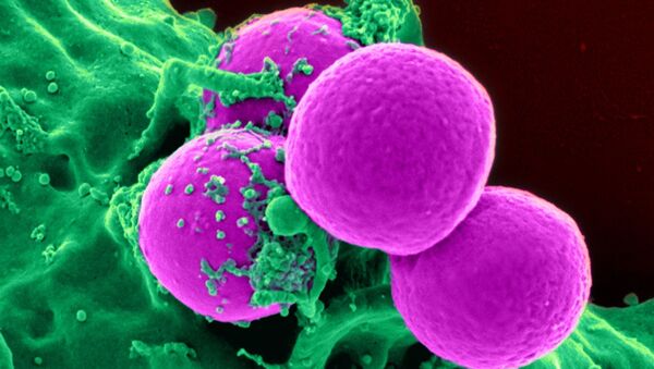 Unas células cancerosas, imagen ilustrativa - Sputnik Mundo