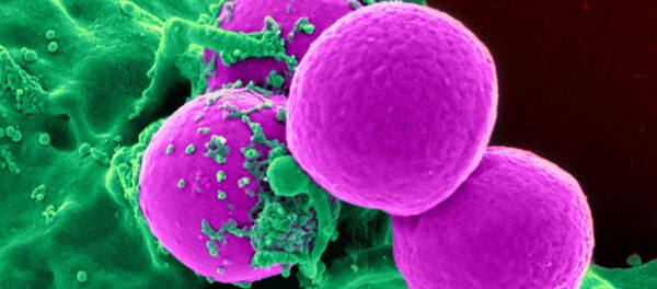 Unas células cancerosas, imagen ilustrativa - Sputnik Mundo