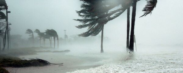 Un huracán (imagen referencial) - Sputnik Mundo
