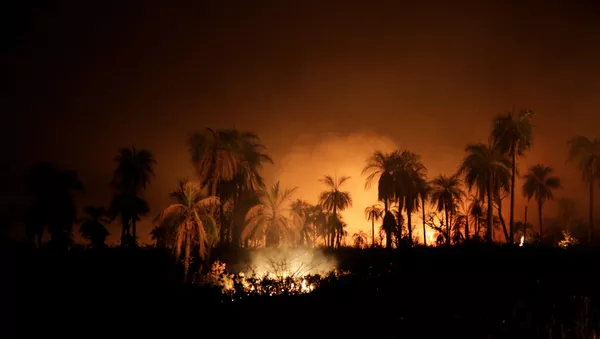 Los incendios forestales en Bolivia - Sputnik Mundo