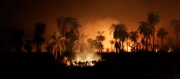 Los incendios forestales en Bolivia Los incendios forestales en Bolivia - Sputnik Mundo